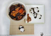 Pencinta Makanan Asia Berlomba Bikin Makanan Bentuk Panda yang Menggemaskan