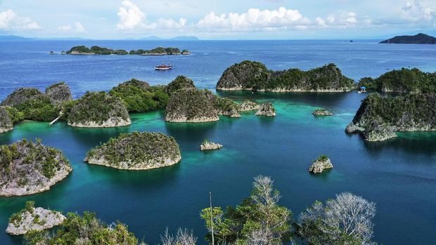 Indahnya Kepulauan Piaynemo (Randy/detikTravel)
