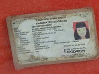Kakek 125 Tahun Divonis 9 Bulan Bui karena Edarkan Dolar dan Euro Palsu