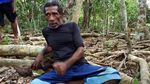 Hutan Tempat Melihat Cenderawasih di Raja Ampat