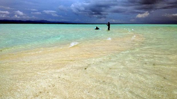 Cantiknya Pasir Timbul di Raja Ampat (Sukma/detikTravel)