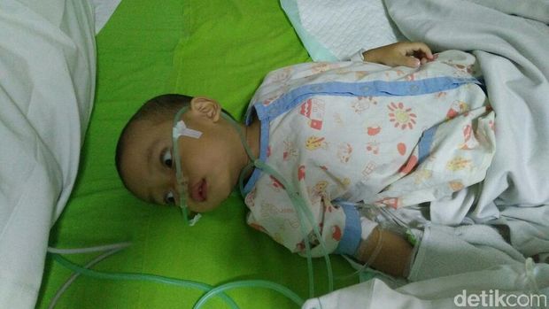 Raffi (Foto: Firdaus Anwar/detikHealth)