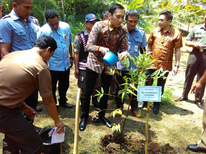 Ibas Adopsi Pohon di Hutan Kota Trenggalek