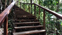 Jika sebelumnya wisatawan harus memanjat tebing karang, sejak tahun 2014, wisatawan sudah dimudahkan dengan adanya tangga dan teras dari kayu untuk menuju ke Puncak Piaynemo (Sukma/detikTravel)