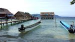 Hutan Tempat Melihat Cenderawasih di Raja Ampat