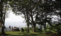 Tempat kemping dengan view cantik dan udara sejuk (Rachman/detikTravel)