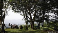 Tak perlu membawa peralatan kemping. Cukup membawa diri dan siap untuk berkemah di alam terbuka, dengan merogoh kocek Rp 550.000 per orang sudah dapat tenda, sarapan, makan siang, makan malam, snack, kopi dan teh, WiFi, peminjaman gitar, hingga aktivitas outdoor (Rachman/detikTravel)