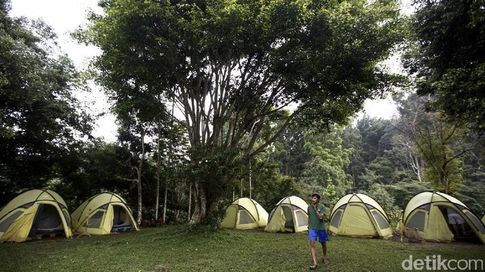 Siklus Tidur Kacau? Coba Atasi dengan Camping di Akhir Pekan