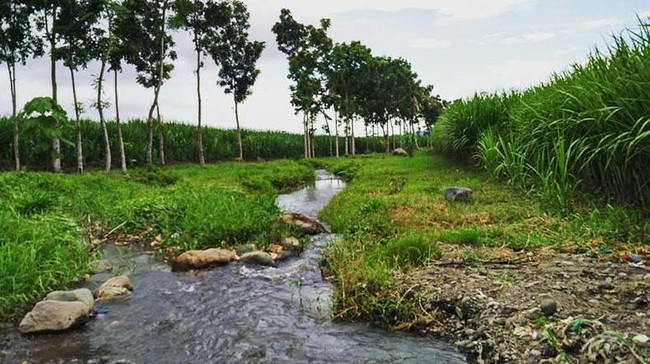 Yang Mudik ke Banyuwangi, Datang ke Tempat Ini Yuk!