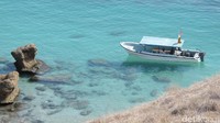 Lautan di Labuan Bajo relatif tenang. Dari boat yang kapasitas 10 orang sampai kapal untuk liveabord dan kapal pesiar yang mampu menampung belasan penumpang, tersedia di sana (Afif/detikTravel)