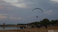 Ada pula sejumlah orang yang bermain paralayang. Mereka terbang melintasi kawasan pantai (Kurnia/detikTravel)