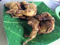 RM Aroma: Empuk Gurih Ayam Goreng dan Burung Marlon Bumbu Kuning dari Bogor