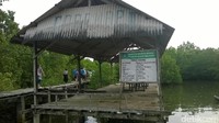 Foto: Warga Bajo dapat dikenali dengan ciri khas bedak dingin. Hanya perempuan yang memakai bedak dingin (Bonauli/detikTravel)