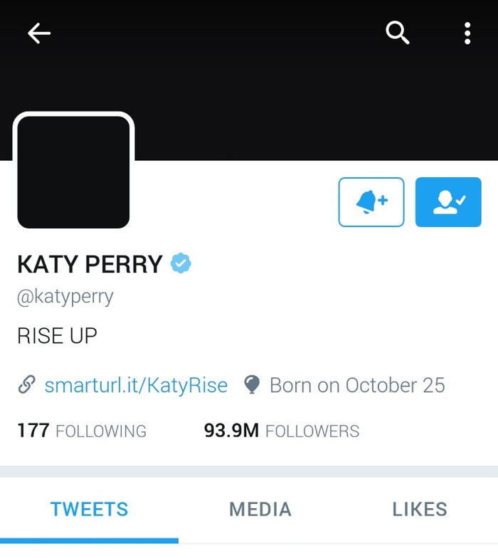Protes Kemenangan Trump, Penyanyi Katy Perry Hitamkan Akun Twitter