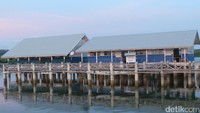 Foto: Suku Bajo Mantigola tidak memiliki lahan untuk tinggal. Sehingga mereka dipinjami lahan oleh warga Pulau Kaledupa di laut (Bonauli/detikTravel)