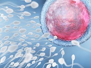 Heboh, Pria Ini Didakwa gegara Punya Lebih 500 Anak dari Donor Sperma