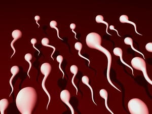 Diidap 20 Persen Pria Mandul di Indonesia, Kenali Penyebab Azoospermia