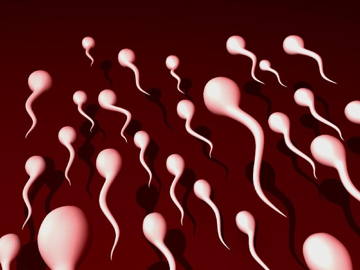 Menelan sperma ternyata juga ada manfaatnya lho. Foto: ilustrasi/thinkstock Menelan sperma ternyata juga ada manfaatnya lho. Foto: ilustrasi/thinkstock
