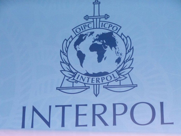 Buronan Interpol Asal India Ditangkap di Bandara Ngurah Rai Bali