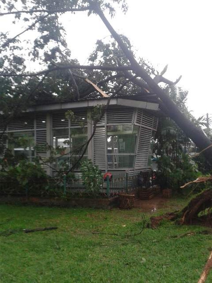 Daftar Genangan dan Pohon Tumbang Pasca Hujan Deras di DKI Sore Ini