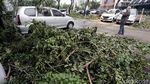 Puluhan Mobil Rusak Tertimpa Pohon di Gedung Panin Bank