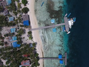 Menikmati Pesona Bawah Laut di Raja Ampat Tanpa Snorkeling, Bisa!