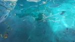 Ini Nih Pulau Super Cantik di Raja Ampat