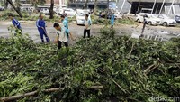 Sejumlah petugas membersihkan ranting pohon.