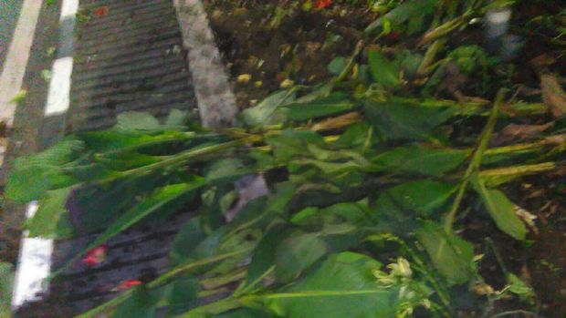 Bonek Protes PSSI di Surabaya karena Tak Bahas Status Persebaya