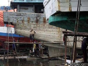 Urus Izin Kapal Dipermudah, Tangkapan Ikan di 2016 Naik Jadi 6,8 Juta Ton