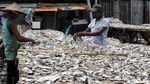 Melihat Proses Pengeringan Ikan Asin di Muara Baru