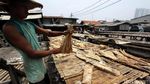 Melihat Proses Pengeringan Ikan Asin di Muara Baru