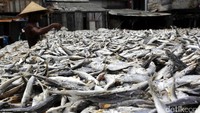 Pekerja membuat ikan asin di Muara Baru, Jakarta Utara.