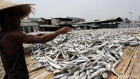 Ikan-ikan asin itu dijemur di atas anyaman bambu.