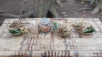 Foto: Selain makanan berat, aneka camilan juga disediakan oleh masyarakat desa adat. Seperti tape, lepet dan kacang tanah (Avitia/detikTravel)