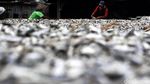 Melihat Proses Pengeringan Ikan Asin di Muara Baru