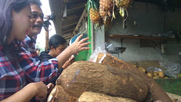 Djarot Saiful Hidayat: Belakangan Saya Susah Cari Singkong