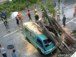Sejumlah Angkot dan Bangunan Rusak Tertimpa Pohon Tumbang di Bandung