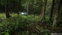 Melewati hutan dengan perbukitan yang terjal dan licin.