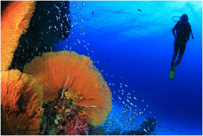 Kejar Target 2017, Kemenpar Sapa Divers di DEMA Las Vegas