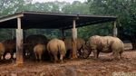 Taman Safari Ala Taiwan, Seperti Ini Penampakannya
