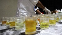 Tes urine itu akan rutin dilakukan secara mendadak. Agus memastikan apabila ada pejabat struktural atau pegawai KPK yang kedapatan memakai narkoba maka akan langsung diberhentikan.