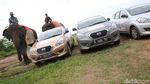 Risers Datsun Naik Gajah di Way Kambas