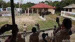 Risers Datsun Naik Gajah di Way Kambas