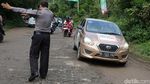 Risers Datsun Naik Gajah di Way Kambas