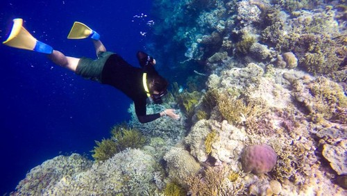 Spot snorkeling dan diving di Bali Barat