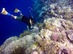 Keindahan Bawah Laut Pulau Menjangan, Maldives-nya Bali Nih!
