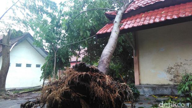 Puting Beliung Terjang Tiga Kecamatan di Blitar