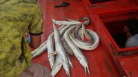 Kapal Berbendera Asing Ditangkap Karena Curi Ikan di Wilayah Kepri