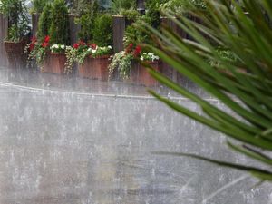 Sebagian Daerah Jatim Masih Hujan Hari Ini, Simak Rinciannya